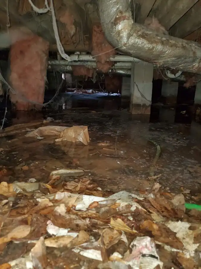 Crawl space flood assessment for Leak Detection & Repair in Emmett