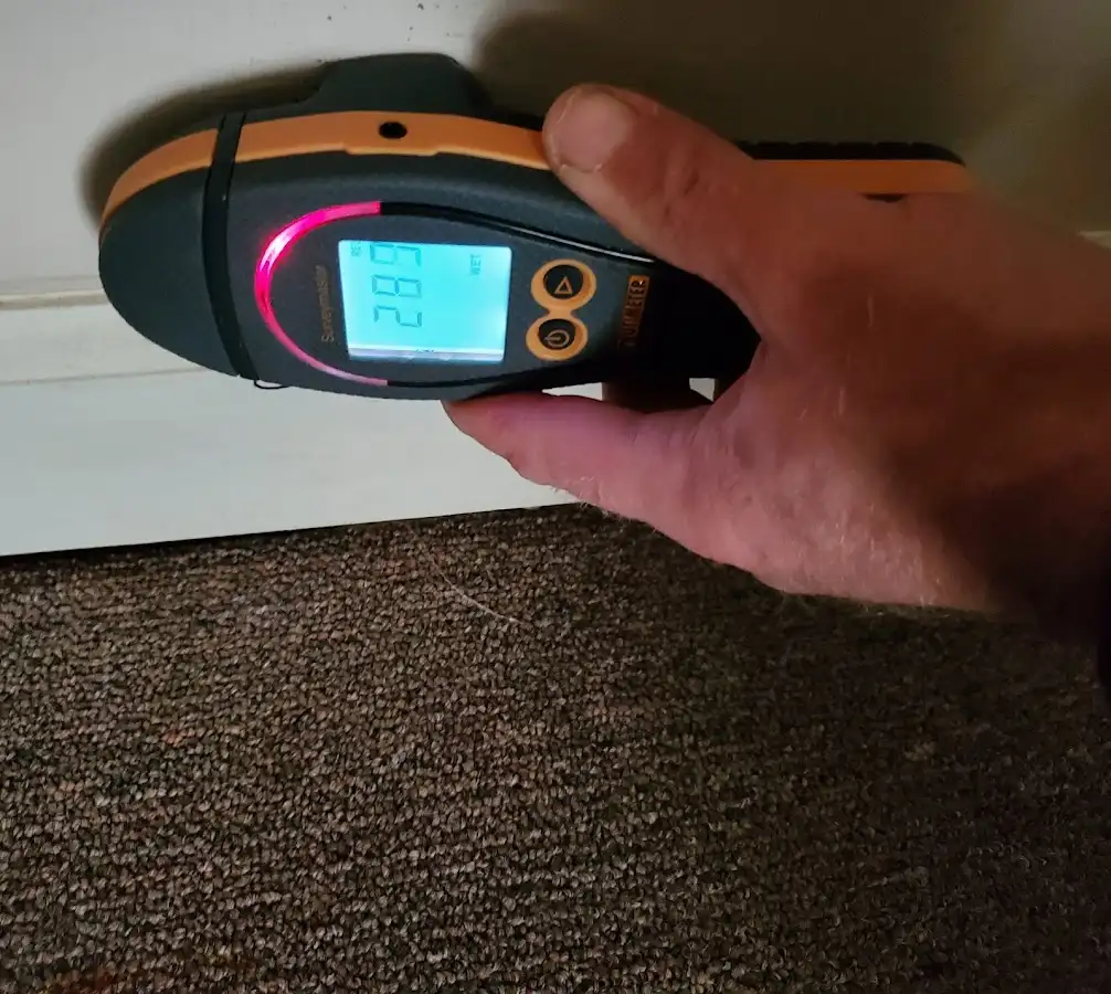Moisture detection at baseboard during Sewage Cleanup & Sanitation in Emmett