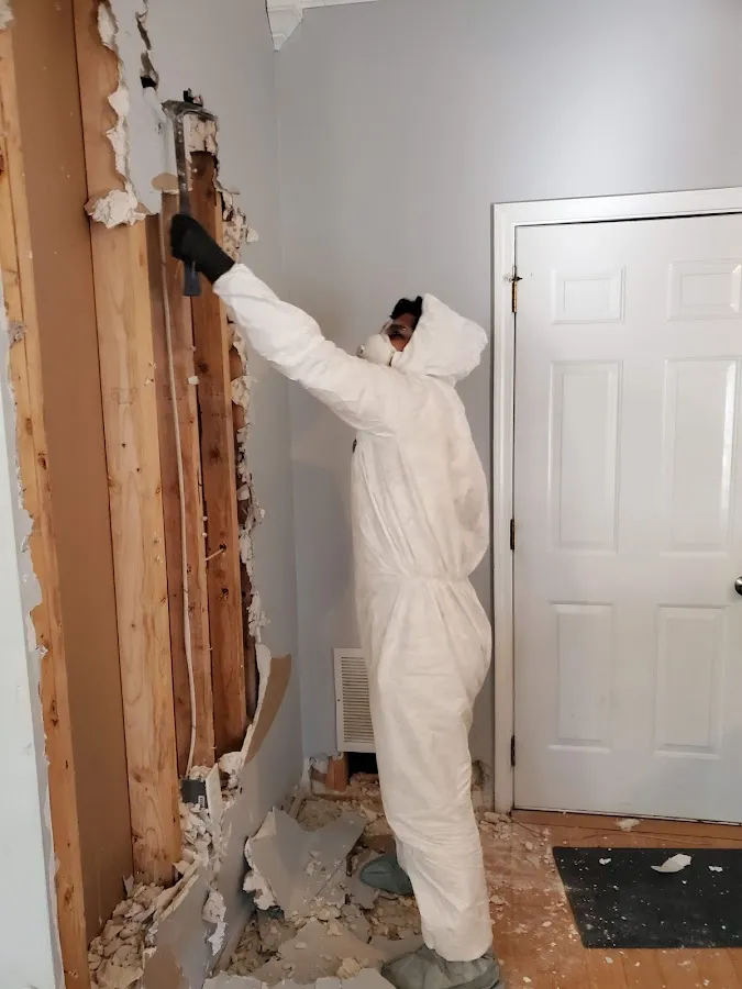 Water Damage Restoration services in Emmett, MI